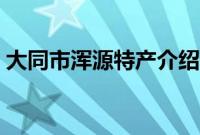 大同市浑源特产介绍（大同市浑源特产列表）