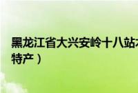 黑龙江省大兴安岭十八站木材生产（黑龙江省大兴安岭十大特产）