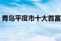 青岛平度市十大首富（青岛平度市十大特产）