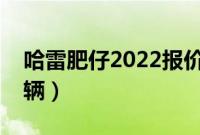 哈雷肥仔2022报价国内（哈雷肥仔多少钱一辆）