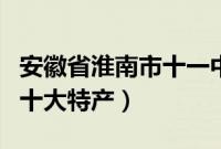 安徽省淮南市十一中官方网站（安徽省淮南市十大特产）