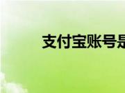 支付宝账号是什么（支付宝账号）