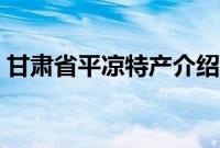 甘肃省平凉特产介绍（甘肃省平凉特产列表）