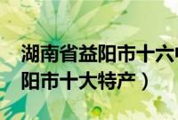 湖南省益阳市十六中喜报2021年（湖南省益阳市十大特产）