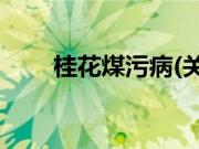 桂花煤污病(关于桂花煤污病的简介)