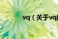 vq（关于vq的基本详情介绍）