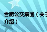 合肥公交集团（关于合肥公交集团的基本详情介绍）