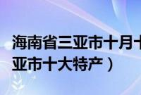 海南省三亚市十月十三号天气预报（海南省三亚市十大特产）