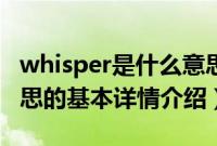 whisper是什么意思（关于whisper是什么意思的基本详情介绍）