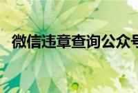 微信违章查询公众号（微信公众号查违章）