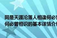 同是天涯沦落人相逢何必曾相识（关于同是天涯沦落人相逢何必曾相识的基本详情介绍）