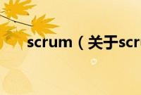 scrum（关于scrum的基本详情介绍）