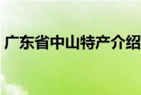 广东省中山特产介绍（广东省中山特产列表）