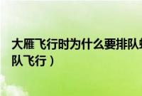 大雁飞行时为什么要排队蚂蚁庄园（大雁飞行时为什么要排队飞行）