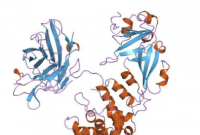 研究人员开发搭载方法来改善 RNA 疗法的药物输送