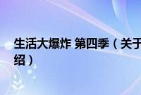 生活大爆炸 第四季（关于生活大爆炸 第四季的基本详情介绍）