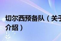 切尔西预备队（关于切尔西预备队的基本详情介绍）