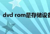 dvd rom是存储设备吗（dvd rom属于啥）