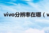 vivo分辨率在哪（vivo分辨率在哪里设置）