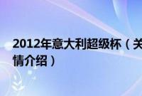 2012年意大利超级杯（关于2012年意大利超级杯的基本详情介绍）