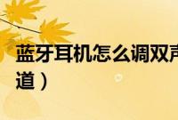 蓝牙耳机怎么调双声道（蓝牙耳机怎么调双声道）