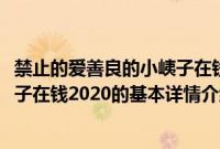 禁止的爱善良的小峓子在钱2020（关于禁止的爱善良的小峓子在钱2020的基本详情介绍）