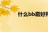 什么bb霜好用（bb霜是什么）