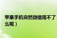 苹果手机突然微信用不了（苹果手机不能用微信的原因是什么呢）