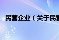 民营企业（关于民营企业的基本详情介绍）