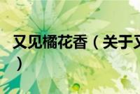 又见橘花香（关于又见橘花香的基本详情介绍）