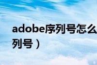 adobe序列号怎么获得（如何获取adobe序列号）