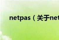 netpas（关于netpas的基本详情介绍）