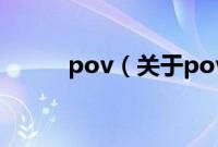 pov（关于pov的基本详情介绍）