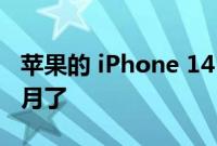 苹果的 iPhone 14 发布日期可能只剩下 4 个月了