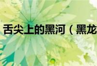 舌尖上的黑河（黑龙江省黑河小吃美食介绍）