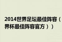 2014世界足坛最佳阵容（2010年世界杯最佳阵容（2014世界杯最佳阵容官方））