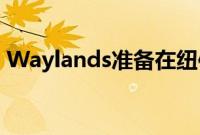 Waylands准备在纽伯里开设新的MG经销商