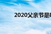 2020父亲节是哪天（父亲节介绍）