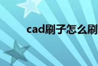 cad刷子怎么刷（cad刷子快捷键）