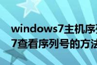 windows7主机序列号怎么查询（windows7查看序列号的方法）