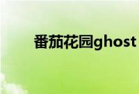 番茄花园ghost（xp光盘怎么安装）