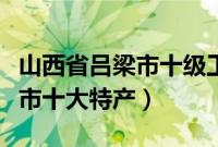 山西省吕梁市十级工伤怎么赔偿（山西省吕梁市十大特产）