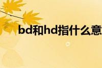 bd和hd指什么意思（bd和hd的解释）