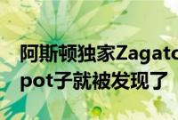 阿斯顿独家Zagato风格的Vanquish的测试spot子就被发现了