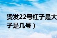 烫发22号杠子是大卷还是小卷（烫发22号杠子是几号）