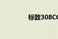 标致308CC外观方面展示