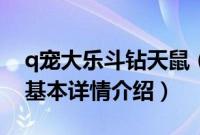 q宠大乐斗钻天鼠（关于q宠大乐斗钻天鼠的基本详情介绍）