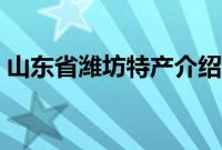 山东省潍坊特产介绍（山东省潍坊特产列表）