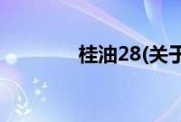 桂油28(关于桂油28的简介)