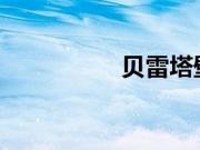 贝雷塔壁挂炉怎么补水